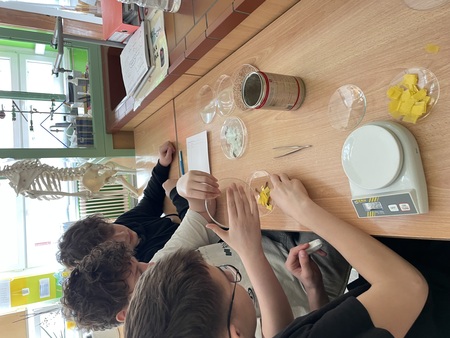 Naravoslovni-dan (7)